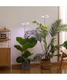 LEDlife Pflanzenlicht mit Spieß - 12W, Timer, dimmbar, höhenverstellbar