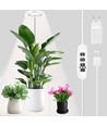 LEDlife Pflanzenlicht mit Spieß - 12W, Timer, dimmbar, höhenverstellbar
