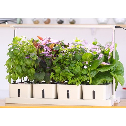 LEDlife hydroponische Pflanzenwanne - Weiß, inkl. Wachstumslicht, 20 Plätze, 4x2L Wassertank