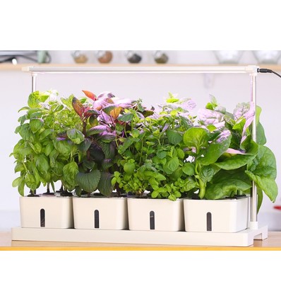 LEDlife hydroponische Pflanzenwanne - Weiß, inkl. Wachstumslicht, 20 Plätze, 4x2L Wassertank