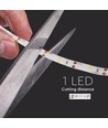 1m 2,4W/m spritzwassergeschützter LED-Streifen - 6V DC, IP65, PIR-Sensor, Batterie, 30 LEDs pro Meter
