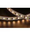5m 9,5W/m CCT LED-Streifen RA94 - 24V DC, IP20, 240 LEDs pro Meter