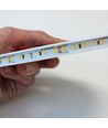 10m 12W/m LumiLED RA92 - 24V DC, IP20, 120 LEDs pro Meter