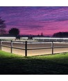 5 m wasserdichter Reitplatz-Streifen (Typ X-2) - 230V, IP67, 1300lm/m, 10W/m, kann alle 10 cm gekürzt werden