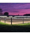 5 m wasserdichte Neon COB Reitplatzleiste - 230V, IP67, 288 LED, 11,5W/m, alle 10 cm kürzbar