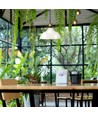 Ø24,5cm E27 Glas-Pendelleuchte - Transparent, max. 60W, 110cm Höhe, Metallsockel