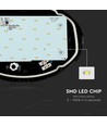 12W ovale LED Decken-/Wandleuchte - IP54, schwarz, 3000K, 24,2 x 16,5 cm