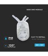 5050 Modul - 0,24W, blau, IP68