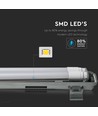 150cm 44W T8 wasserdichte LED-Komplettleuchte - IP65, 6400K, 2x22W, kaltweiß