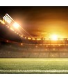 500W LED Sport Flutlicht, 135lm/W - Samsung LED chip, Meanwell Driver, IP65, dimmbar, 5000K