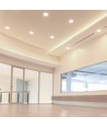 6W LED COB Hotel Downlight, RA95 - CREE Chip, silberner Reflektor, verstellbar, Einbaustrahler