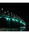 20W LED-Flutlichtstrahler - Grün, Schwarzes Gehäuse, Arbeitsleuchte