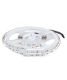 5m 8W/m RGB+3000K LED Strip - 12V, IP20, 60 LED pro Meter
