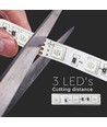 5m 8W/m RGB+3000K LED Strip - 12V, IP20, 60 LED pro Meter