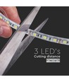 5m 8W/m strahlwassergeschützter LED Strip - 24V, IP65, 120 LED pro Meter, 6500K