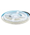 240 LED Streifen Licht 20W/m - 6500K, Hohe Lumen, IP20, 5m/Rolle