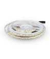 5m 17W/m LED-Streifen - 12V DC, IP20, 204 LEDs pro Meter