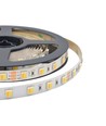 120 LED Streifenlicht - 14W/m, CCT 3in1, IP65, 24V