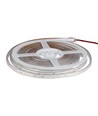 5m Grüne 3,2W/m spritzwassergeschützte LED-Strip - Grünes Licht, IP65