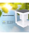 2W Solara LED Solar Wegeleuchte mit Sensor - IP65, 3000K, weiß, 3 Jahre Garantie