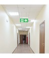 Notbeleuchtung 4in1 Aufhängung - EXIT Schild, Selbsttest-Taste, Wand-/Decken-/Drahtaufhängung, 6000K