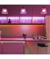 5m 12W/m RGB LED Strip - 24V, 120 LED pro Meter, IP20, 8mm Breite