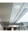 320mm 8W/16W/20W LED Bulkhead - Samsung LED Chip, IP65, IK08, 3-in-1 CCT, rund, weißer Rand