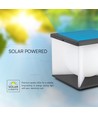 Solara Gartenleuchte mit Erdspieß, 3000K - Solar, IP65, dunkelgrau, dekorative Außenbeleuchtung