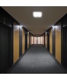 12W LED Sensorleuchte mit Samsung Chip - 3-in-1 CCT, quadratisch, weiß, 360° PIR Sensor, IP20