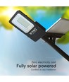 LED Solarstraßenlampe - Hybrid Serie, 6500K