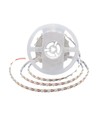 48 LED Streifenlicht 16,5W/m - 6500K, IP20, 5m/Rolle