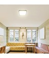 48W LED Deckenleuchte, 42x42cm - 4000K, IP44, schwarzer Rand, quadratisch, 5160lm