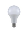 E27 20W LED-Leuchtmittel - A80, 120lm/W