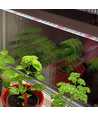 LEDlife Pro-Grow 2.0 Wachstumsleuchte - 60 cm, 10W LED, Vollspektrum, IP65