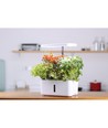 LEDlife hydroponischer Kräutergarten - Weiß, inkl. Growlight, 10 Plätze, Timer, 2,8L Wassertank