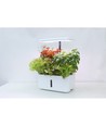 LEDlife hydroponischer Kräutergarten - Weiß, inkl. Growlight, 10 Plätze, Timer, 2,8L Wassertank