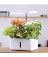 LEDlife hydroponischer Kräutergarten - Weiß, inkl. Growlight, 10 Plätze, Timer, 2,8L Wassertank