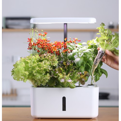LEDlife hydroponischer Kräutergarten - Weiß, inkl. Growlight, 10 Plätze, Timer, 2,8L Wassertank