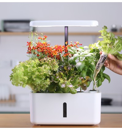LEDlife hydroponischer Kräutergarten - Weiß, inkl. Growlight, 10 Plätze, Timer, 2,8L Wassertank