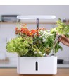 LEDlife hydroponischer Kräutergarten - Weiß, inkl. Growlight, 10 Plätze, Timer, 2,8L Wassertank