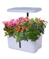 LEDlife hydroponischer Kräutergarten - Weiß, inkl. Growlight, 10 Plätze, Timer, 2,8L Wassertank