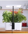 LEDlife hydroponischer Kräutergarten - Weiß, inkl. Growlight, 10 Plätze, Timer, 2,8L Wassertank