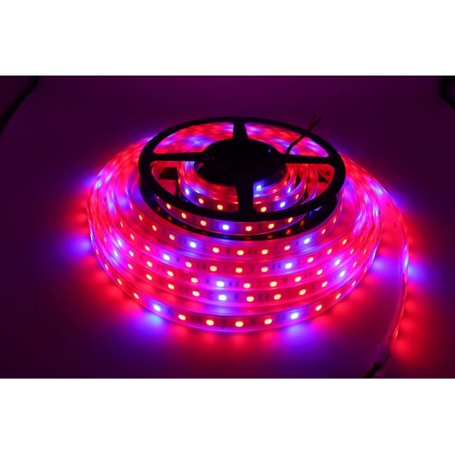8,5W/m spritzwassergeschützte Wachstums-LED-Leiste - 5m, 60 LEDs pro Meter, 24V DC, IP65