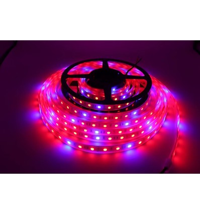 8,5W/m spritzwassergeschützte Wachstums-LED-Leiste - 5m, 60 LEDs pro Meter, 24V DC, IP65