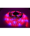 8,5W/m spritzwassergeschützte Wachstums-LED-Leiste - 5m, 60 LEDs pro Meter, 24V DC, IP65