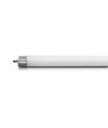 8W UV-Röhre für Insektenvernichter - T8, G13, 30,5cm, passend für VT-3216