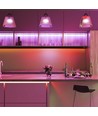 5m 11W/m rot/grün/blau/gelb LED-Streifen - 60 LED pro Meter, Farbwahl