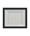 100W Fluter - IP65, Schwarz, Arbeitsleuchte