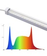 LEDlife Max-Grow 2.0 30W Wachstumsleuchte - 120 cm, 30W LED, Vollspektrum, IP65
