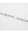 5 Meter 12W/m RGB+WW LED-Streifen - 24V DC, IP20, 60 LEDs pro Meter